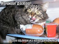 Ночью все намного вкуснее: Муж снял на видео то, чем занималась его жена, пока все спали 