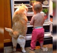 Ночью все намного вкуснее: Муж снял на видео то, чем занималась его жена, пока все спали 