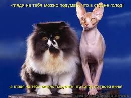 10 причин, почему мы толстеем