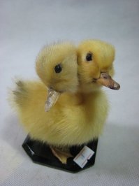 Мутанты среди животных - страх и ужас, жалость и сочувствие