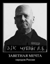 Чубайс призвал закрыть неэффективные электростанции в России