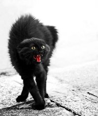 Психоделическая фантазия дизайнеров