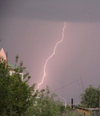 Из своего погреба