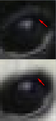 объясняю для тупых