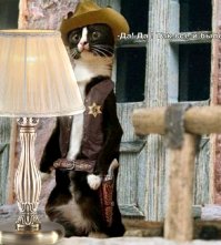 Старинные законы в США