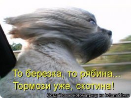 если бы котик мог сказать по человечьи.................
думаю что насрал он ему в тампки