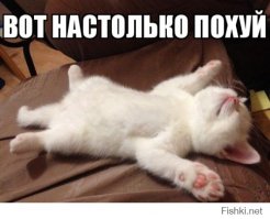 Новые звезды. Хлоя Морец