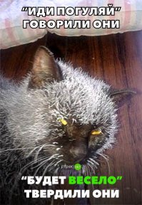 Веселые зимние кадры