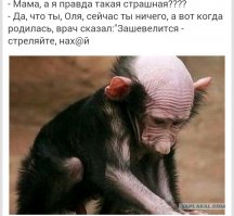 Комментарии и картинки из соц. сетей 