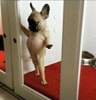 Милота и Доброта