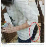 тут то что? белка забралась в норку? или что? нипанятна