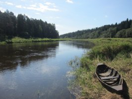 Река Тверца, древняя лодка.