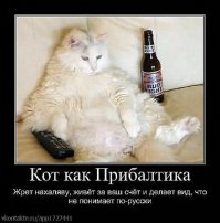 Рижские шпроты просятся в Россию