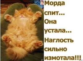 Наглость - второе счастье