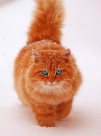 Нас поработили!