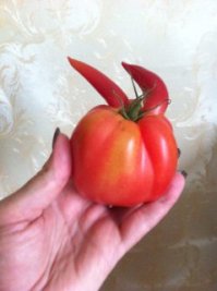 А это наш урожай))