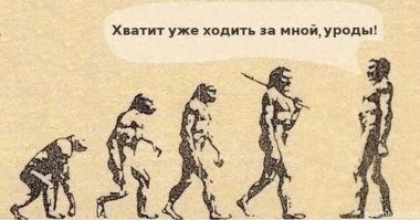 Подборка демотиваторов, которые поднимут вам настроение