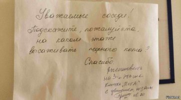 Наглость - второе счастье