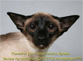 Нас поработили!