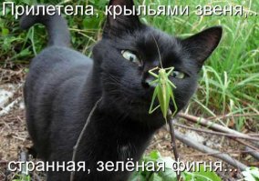 Нас поработили!