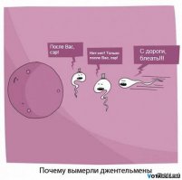 Наглость - второе счастье