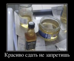 Дошли до ручки уже. Сегодня утром у меня украли... мочу