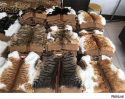 Сумасшедшие товары из Китая, которые могут навредить вашей психике