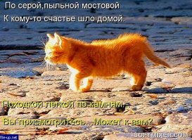 Нас поработили!