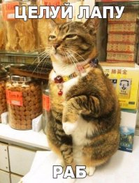 Нас поработили!