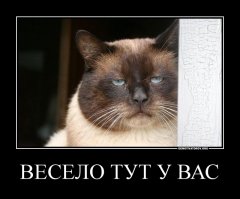 Начинаем неделю смеясь