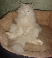 Нас поработили!