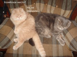 Нас поработили!