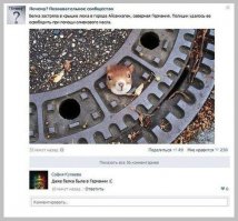 Порошенко уже белку по всему миру с собой повозил...