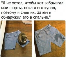 Нас поработили!
