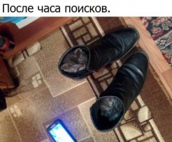 Нас поработили!
