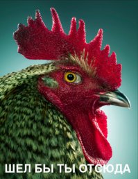 вот что я бы ему ответил