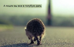 Сумасшедшие люди, которые так и не дождались пляжного сезона  