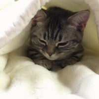 Это я, в пол-двеннадцатого ночи торчащий на фишках.