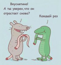 Смешные комментарии и высказывания из социальных сетей