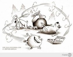 Смешные комментарии и высказывания из социальных сетей