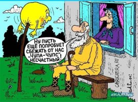 Смешные комментарии и высказывания из социальных сетей