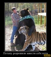 Милота и Доброта