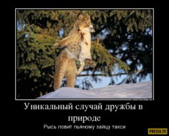 Милота и Доброта