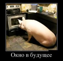 В доме у канадцев живёт свинья. Очень счастливая свинья