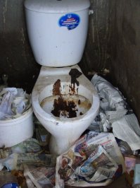 Садитесь смело. 
Ни один, уважающий себя микроб, не станет жить в таких условиях.