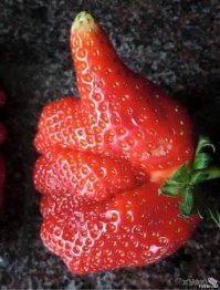 22 завораживающие фотографии фруктов и овощей