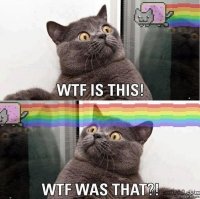 Что это было