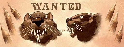 Это вам не ежатина . Тушёнка из бобра