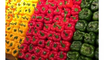 АААААА! ПОЗОР! ХВОСТИКИ КУДА ПОПАЛО!!!!!