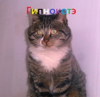 Нас поработили!